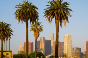 View of the Downtown Los Angeles skyline with palm trees in the foreground
